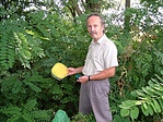 A megtaláló