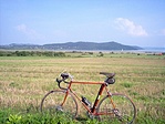 Sajkod
