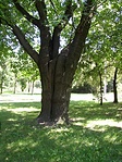 Rejtek