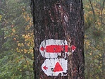2004.10.24 ... a tábla már nincs