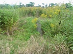 a "kő"