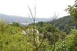 2.
