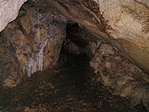 Barlang