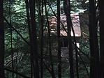 Rózsa-kunyhó