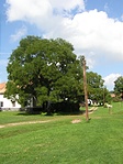 Képeslapra