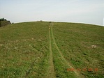 Oda fel