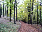Rend