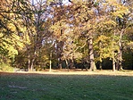 A park ősszel