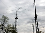 antenna-erdő