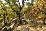 Az arborétum legmagasabb pontja