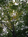 Úton
