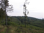 Út