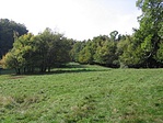 Tisztás