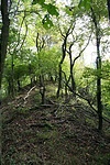 Nagyon tetszik