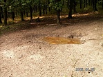 Dagonya