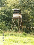 Azért etetik a vadakat, hogy innen kilőhessék :o(
