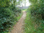 ösvény