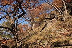 Cache közelében