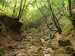 A szurdok