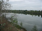Tó
