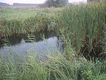 Vasadi-főcsatorna
