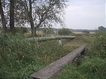 A kötelező felvétel