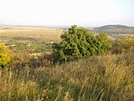 Rejtekadó