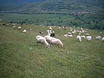 Felfelé.., még azt hittük, könnyű lesz