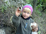 Csiga-találat