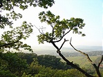 Hangulat v1.3