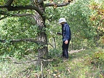 esetleg erre?
