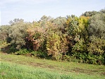Őszi színek