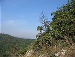 Meredek