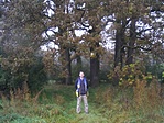 A sofőr
