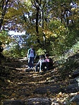 A bazaltlépcsők