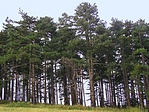 Megjöttünk