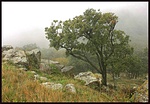kilátás
