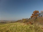 Kilátás 1