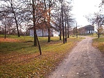 Kihalt minden