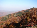 Panoráma