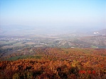 Panoráma