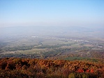 Panoráma