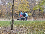 kutyák