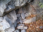 rejtek