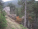 Vadregényes sziklák