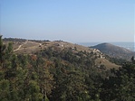 Buda svájca