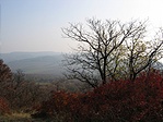 Őszi panoráma 1.