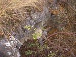 Eldugva