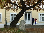 Nyugalom