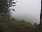 ennyi jutott a királyi panorámából